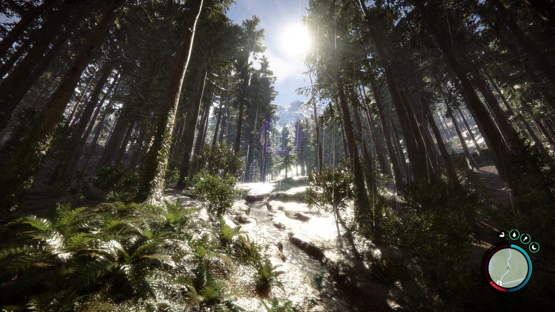 《森林之子》EA版评测：还需要更多等待的时间-第2张