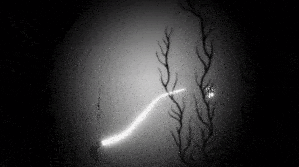 《黯海》鑑賞：在光與暗的深海中，喚醒沉睡的過往-第7張