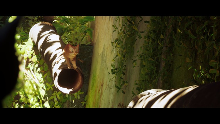《迷失》鉴赏：在冰冷的赛博朋克围城里，感受人与猫的温情-第7张