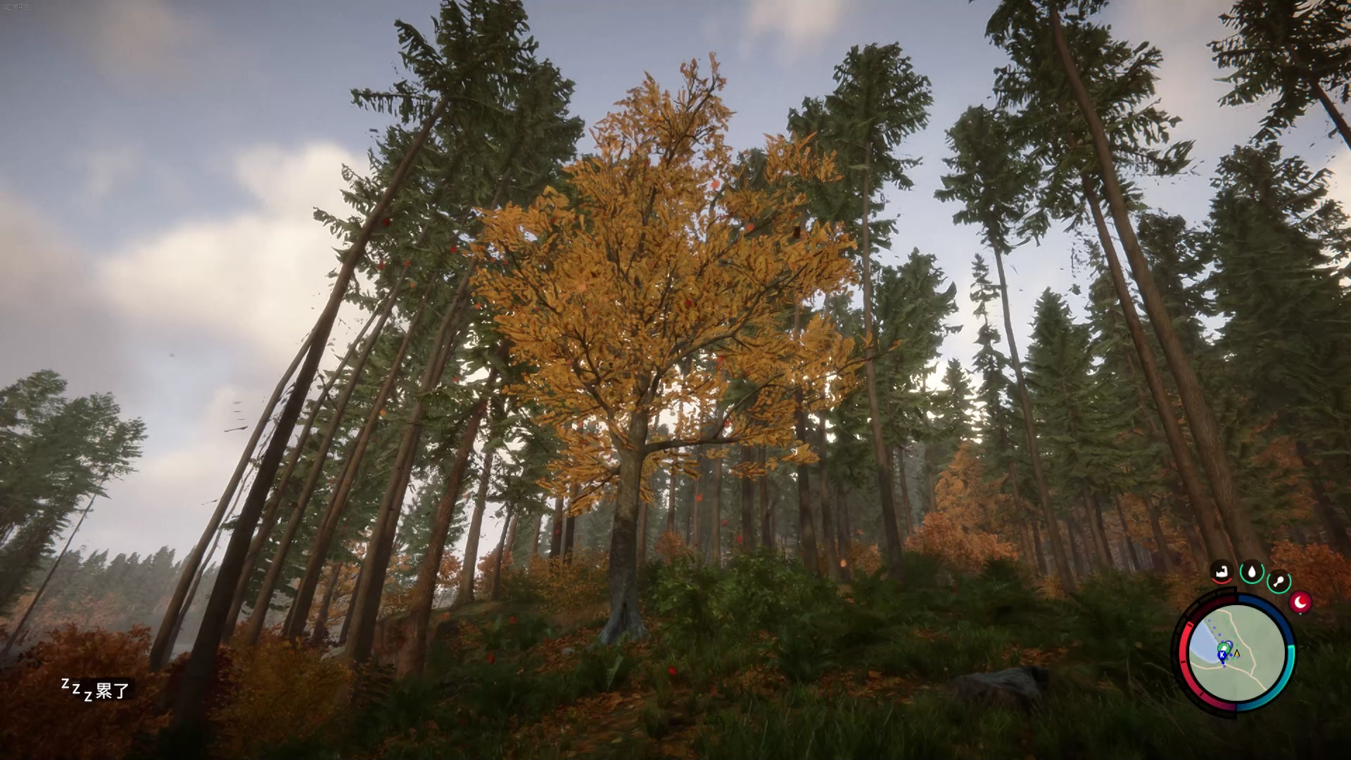 《森林之子》EA版評測：還需要更多等待的時間-第4張